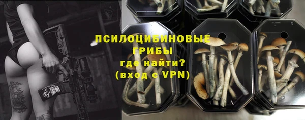 прущие крисы Горнозаводск