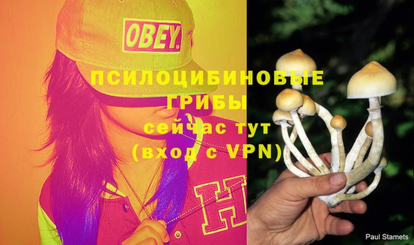 MDMA Premium VHQ Горняк